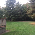 Backyard2.jpg