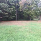 Backyard3.jpg