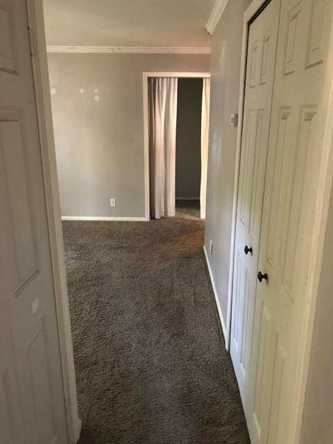 Hallway from Kitchen to Living Room