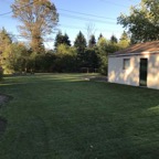 backyard 2.jpg