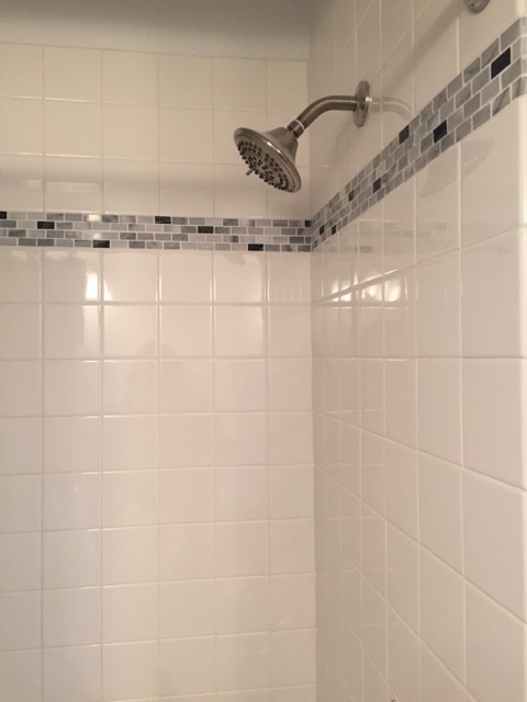 Master Bathroom Shower