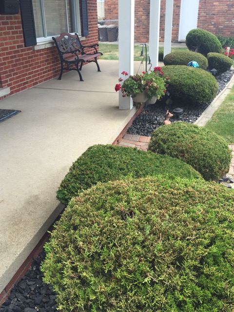 Front Landscaping