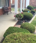 FrontLandscaping.jpg