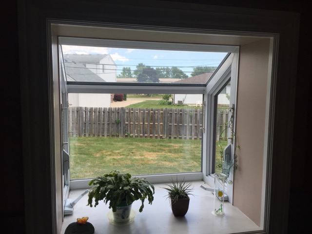 Kitchen Window