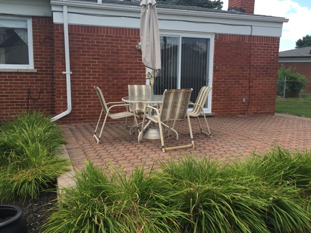 Backyard Patio