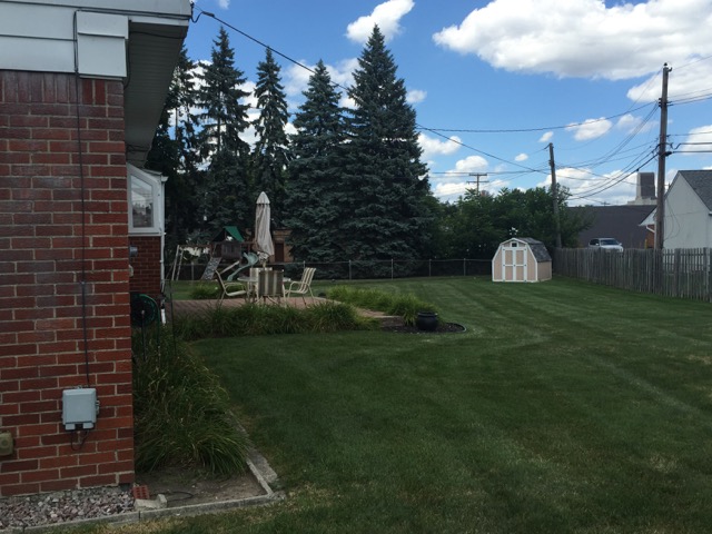 Backyard View from Side