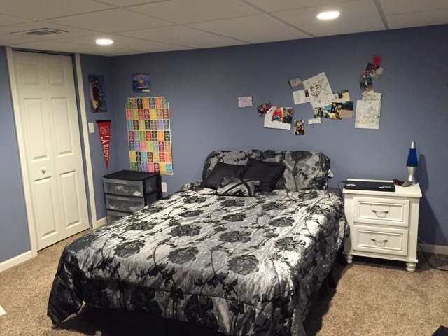 Basement Bedroom