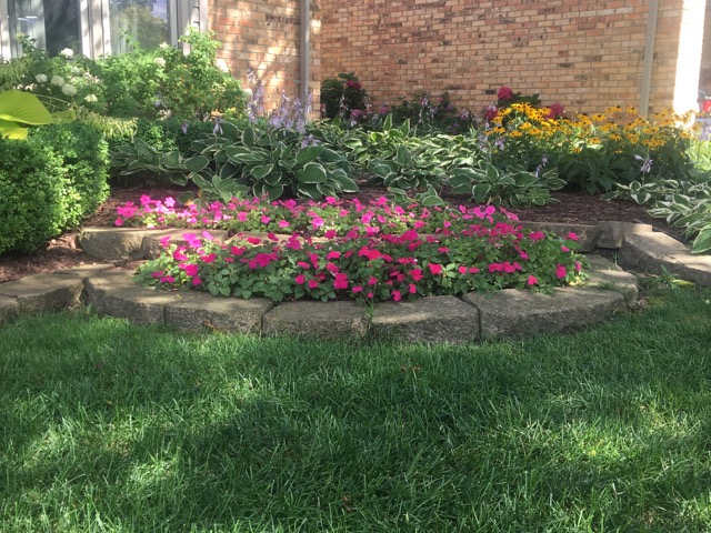 Front Exterior Landscaping