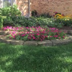 Front exterior landscaping.jpg