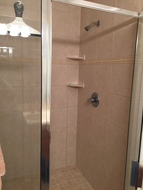 Master Bathroom Shower