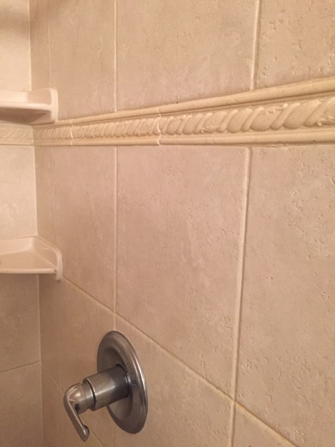 Master Bathroom Shower Tile