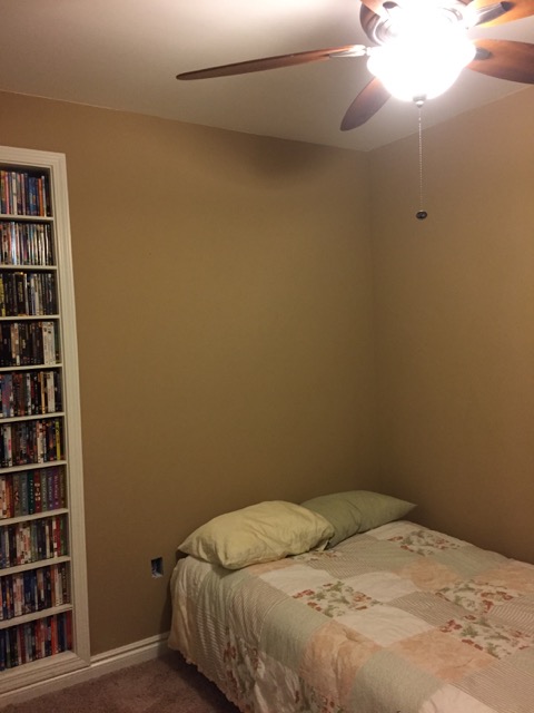 Basement Bedroom