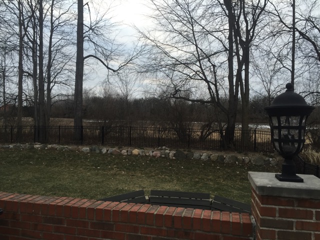 View from Back Porch