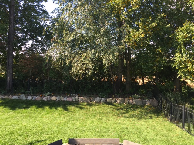 View from Porch Summer