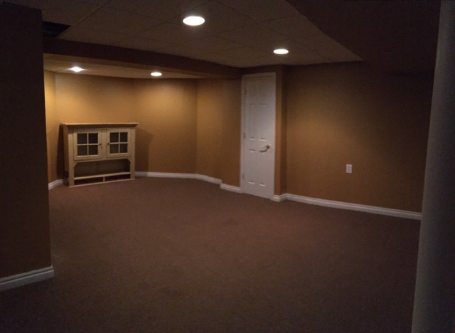 Basement Family Room