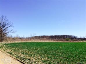 vacantlandcapacmichiganforsale